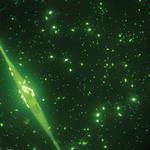 Biology Alumna and Former AWRI Student Featured EOS Magazine